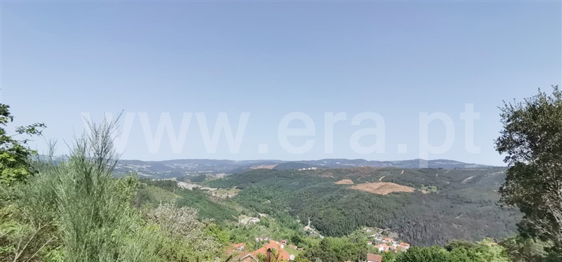 Terreno com ruina  Amarante, Olo e Canadelo - 1249045 - 11