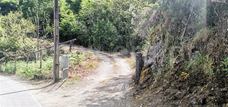 Terreno com ruina  Amarante, Olo e Canadelo - 1249045 - 12