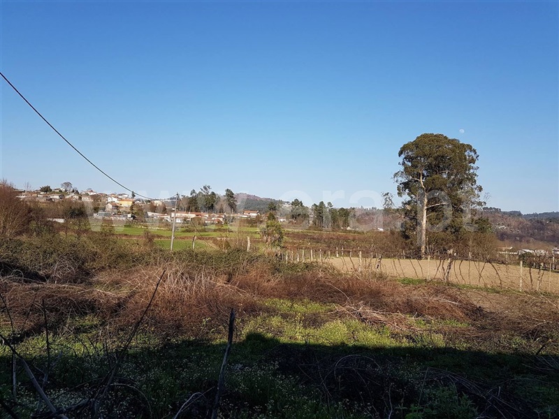 Quinta  Amarante, Travanca - 825438 - 3