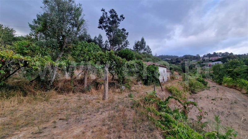 Quinta / Amarante, Vila Caiz