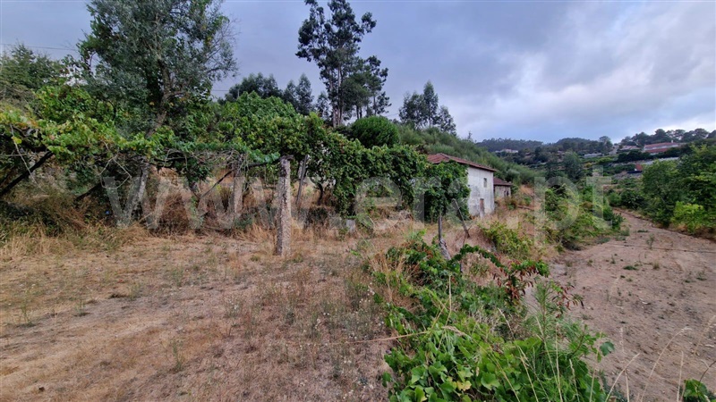 Quinta  Amarante, Vila Chã do Marão - 1504005 - 4