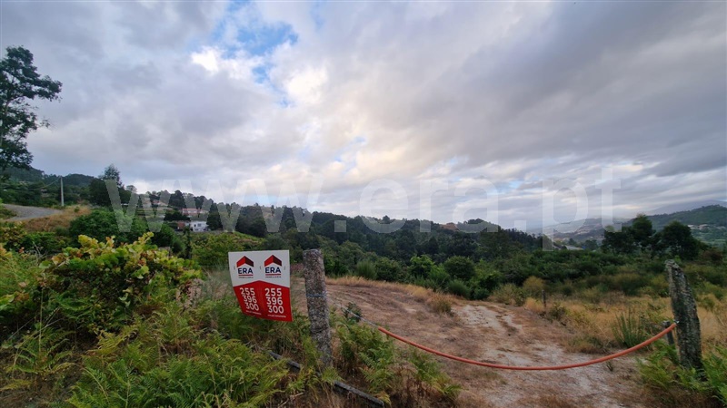 Quinta  Amarante, Vila Chã do Marão - 1504005 - 5