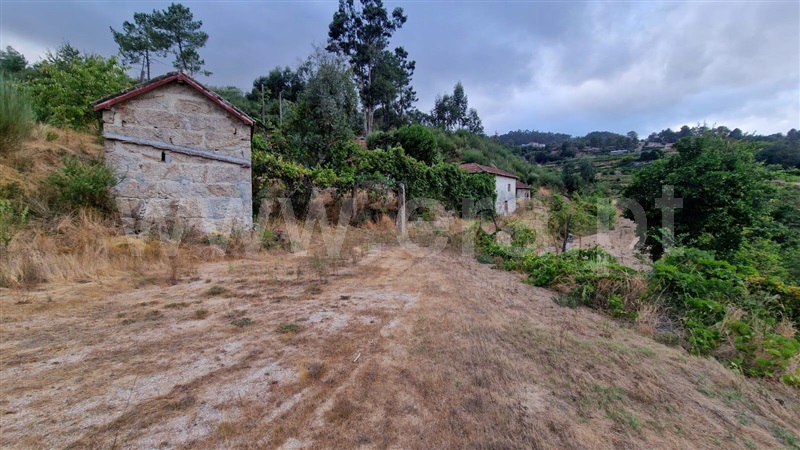 Quinta  Amarante, Vila Chã do Marão - 1504005 - 6