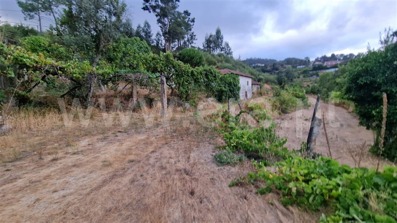 Quinta  Amarante, Vila Chã do Marão - 1504005 - 7