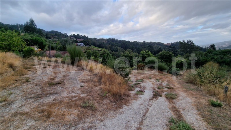 Quinta  Amarante, Vila Chã do Marão - 1504005 - 9