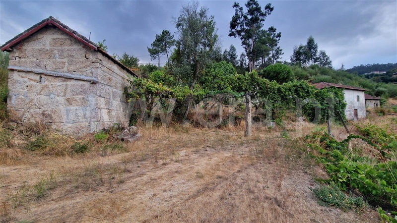 Quinta  Amarante, Vila Chã do Marão - 1504005 - 11