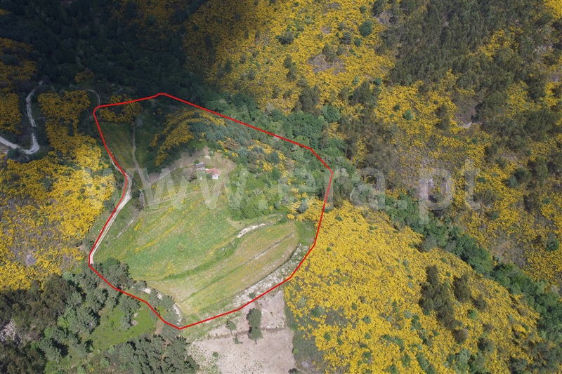 Quinta / Amarante, Vila Chã do Marão