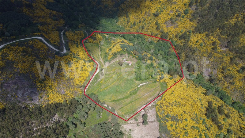 Quinta / Amarante, Vila Chã do Marão