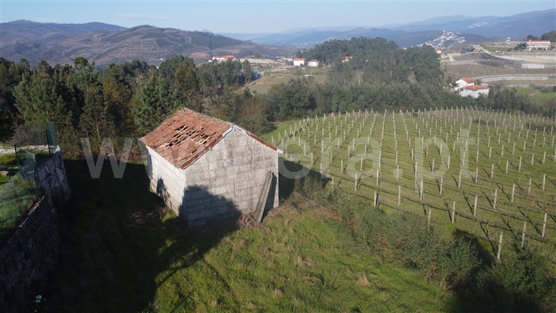 Quinta  Amarante, Vila Garcia, Aboim e Chapa - 1468653 - 2