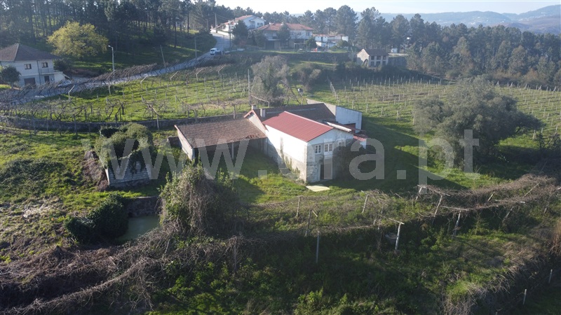 Quinta  Amarante, Vila Garcia, Aboim e Chapa - 1468653 - 5
