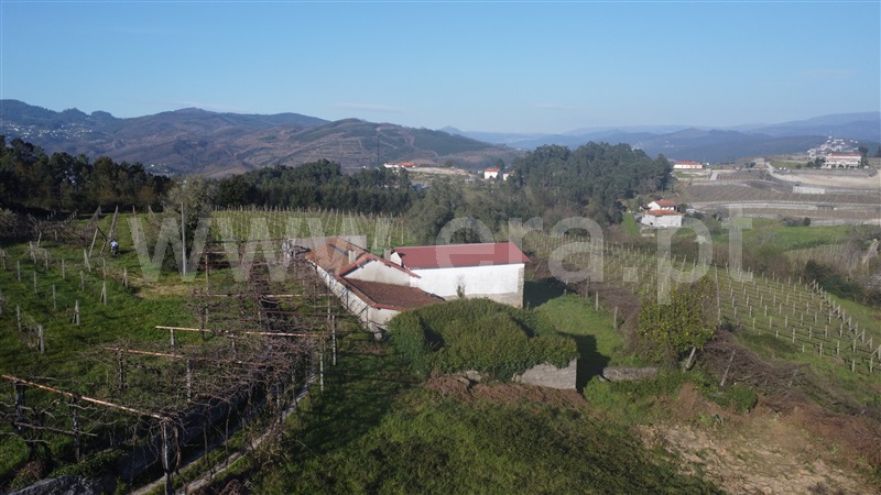 Quinta  Amarante, Vila Garcia, Aboim e Chapa - 1468653 - 6