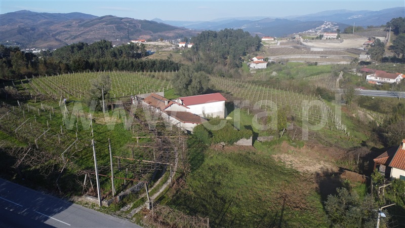 Quinta  Amarante, Vila Garcia, Aboim e Chapa - 1468653 - 7