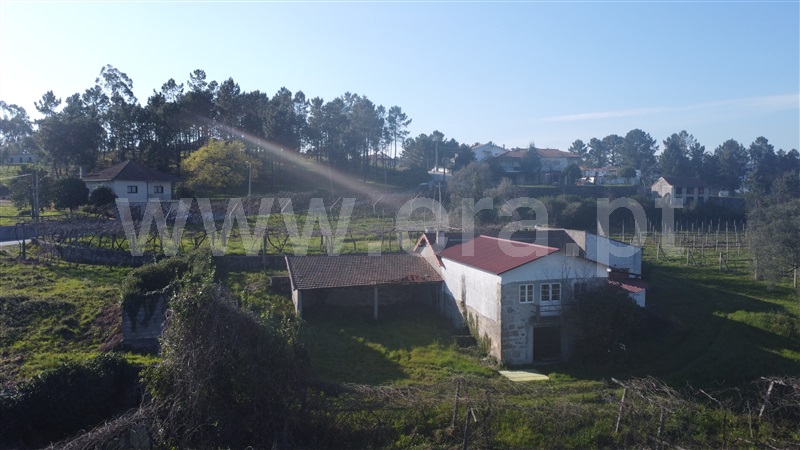 Quinta  Amarante, Vila Garcia, Aboim e Chapa - 1468653 - 8