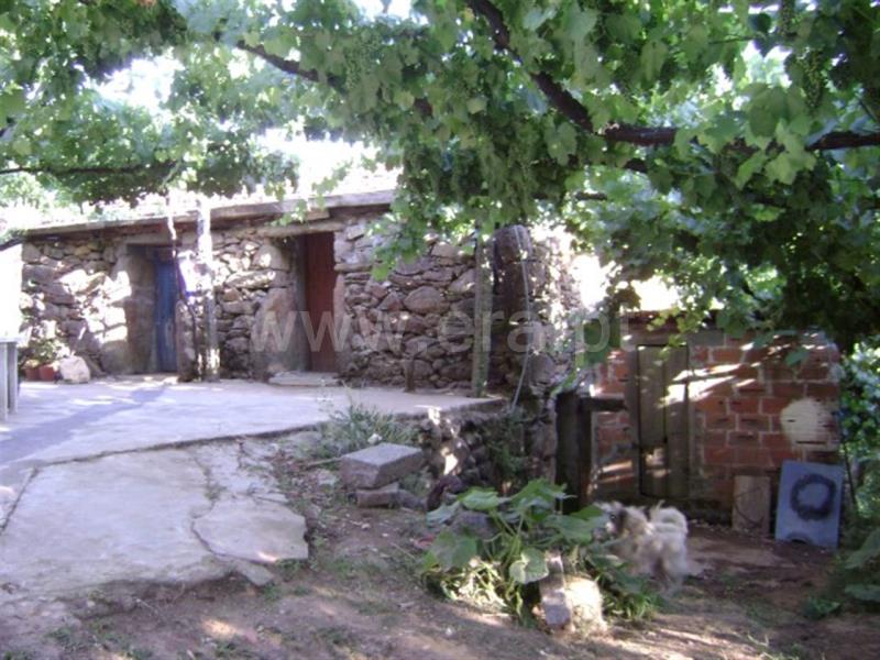 Quinta  Amarante, Vila Garcia, Aboim e Chapa - 667835 - 3