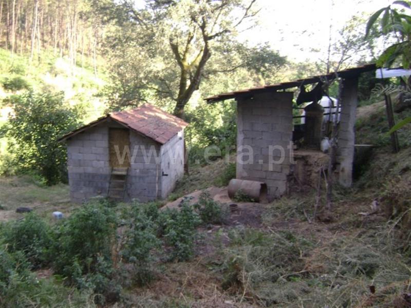 Quinta  Amarante, Vila Garcia, Aboim e Chapa - 667835 - 4