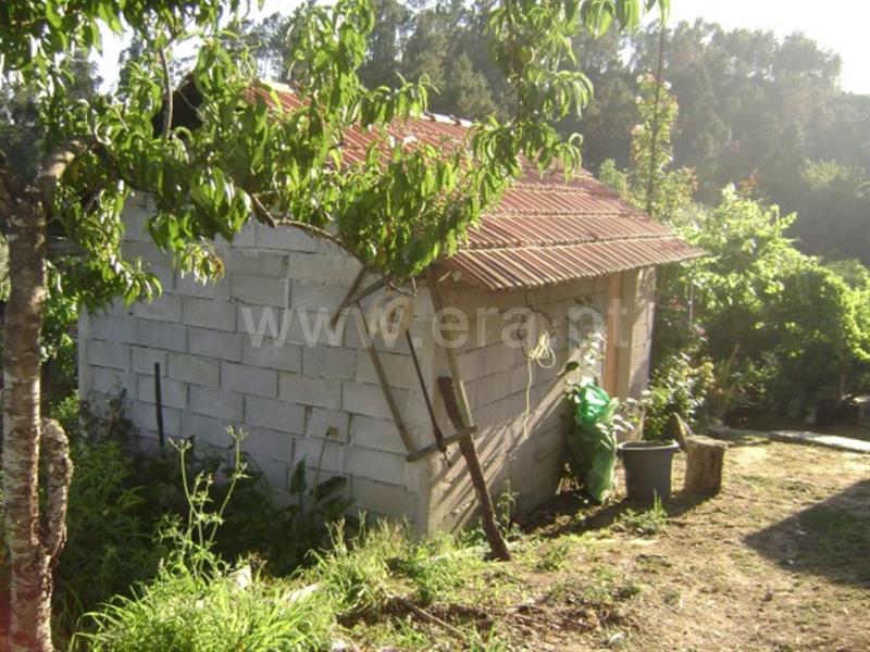 Quinta  Amarante, Vila Garcia, Aboim e Chapa - 667835 - 6