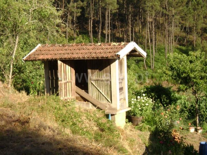 Quinta  Amarante, Vila Garcia, Aboim e Chapa - 667835 - 2
