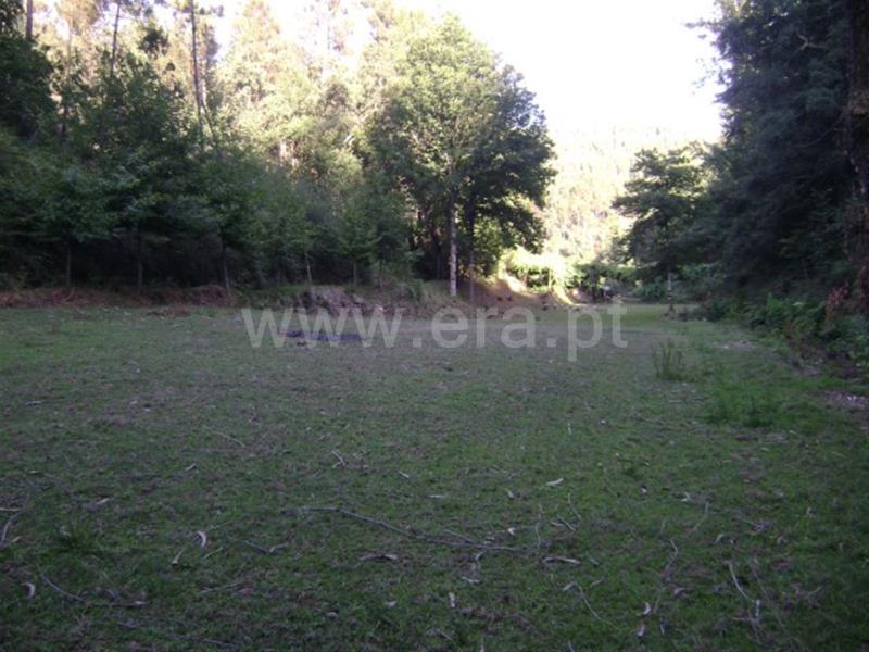 Quinta  Amarante, Vila Garcia, Aboim e Chapa - 667835 - 7
