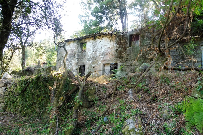 Quinta / Amares, Caires