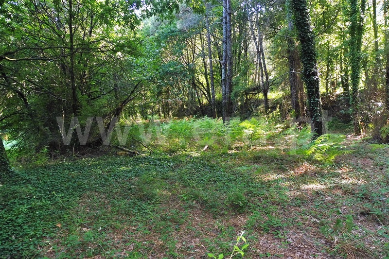 Quinta  Amares, Caires - 936554 - 18