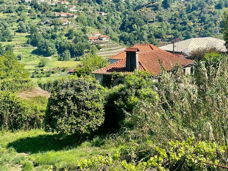 Quinta  Arcos de Valdevez, Rio Frio - 1238464 - 4