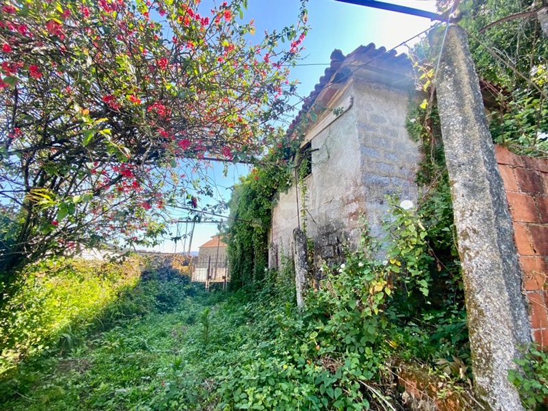 Quinta  Arcos de Valdevez, Rio Frio - 1238464 - 16