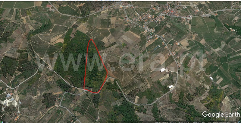 Quinta  Armamar, Cimbres - 1244043 - 1