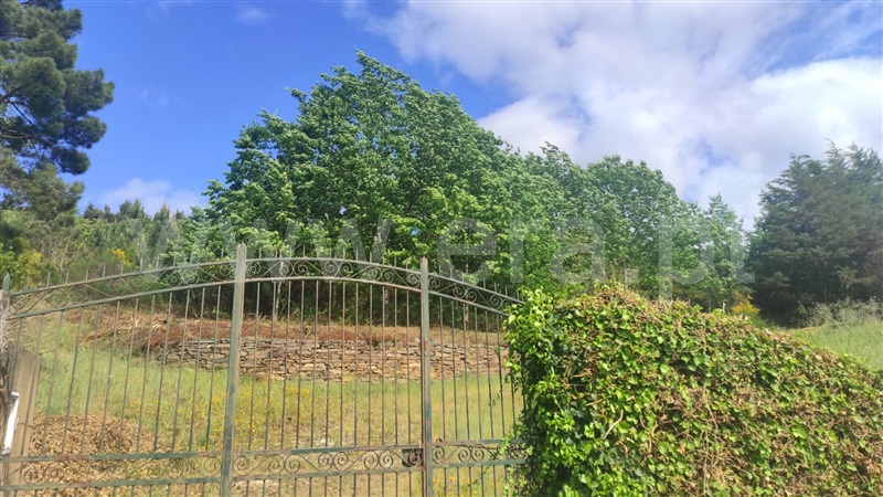 Quinta  Armamar, Cimbres - 1244043 - 3
