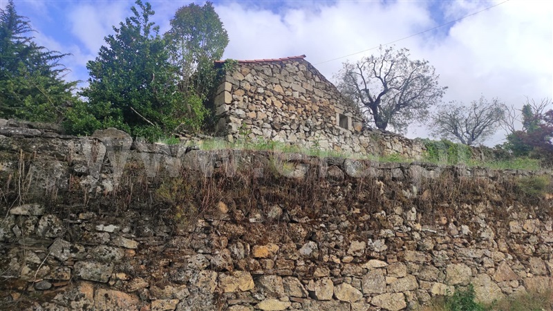 Quinta  Armamar, Cimbres - 1244043 - 5