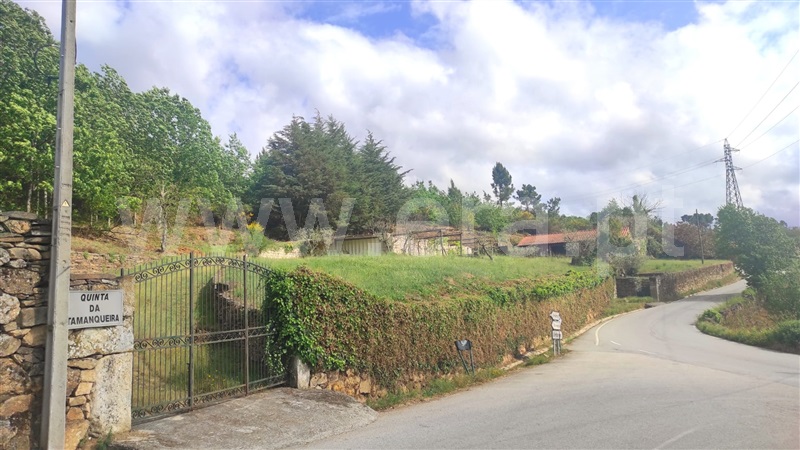 Quinta  Armamar, Cimbres - 1244043 - 6