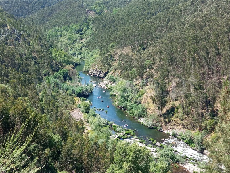 Terreno Urbano  Arouca, Canelas e Espiunca - 1410544 - 12