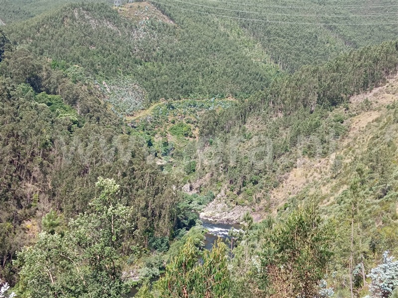 Terreno Urbano  Arouca, Canelas e Espiunca - 1410544 - 13