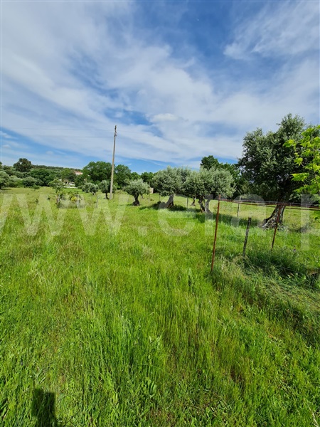 Quinta  Arraiolos - 1103522 - 8