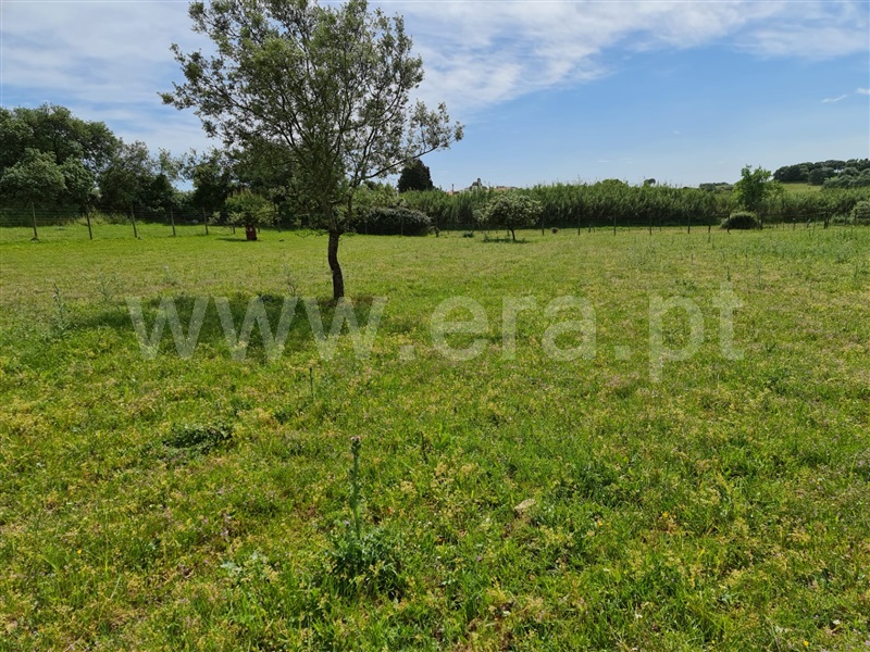 Quinta  Arraiolos - 1103522 - 14