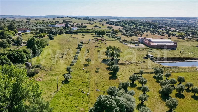 Quinta / Arraiolos, Arraiolos