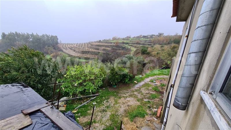 Quinta  Baião, Gestaçô - 1137260 - 3