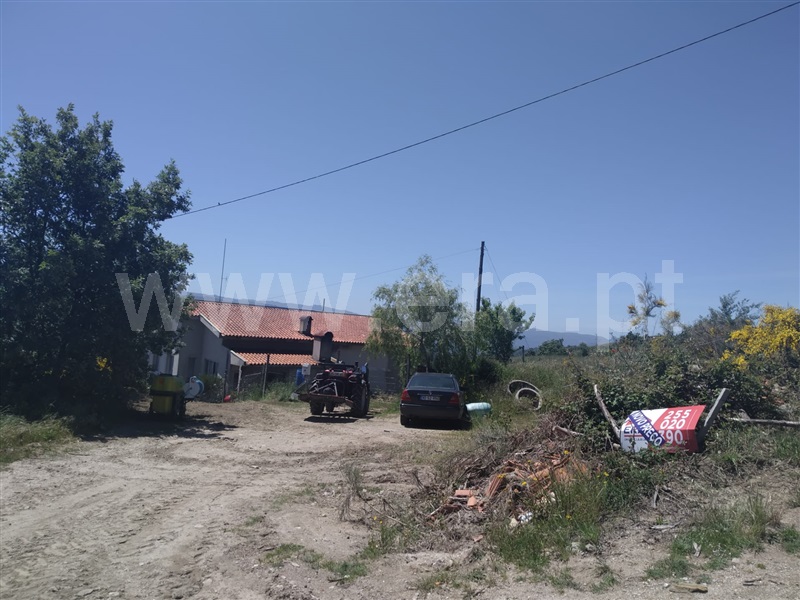 Quinta  Baião, Gestaçô - 1137260 - 8
