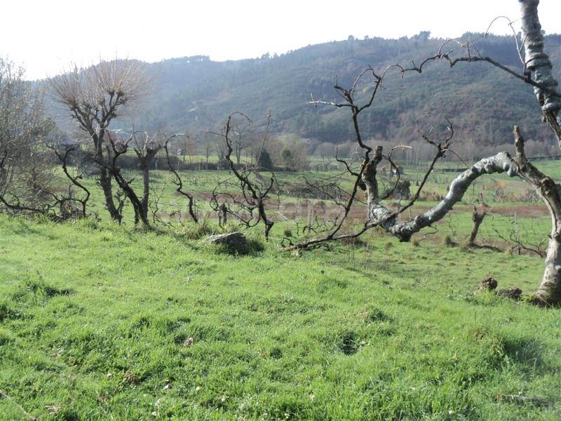 Terreno  Baião, Gove - 705154 - 3