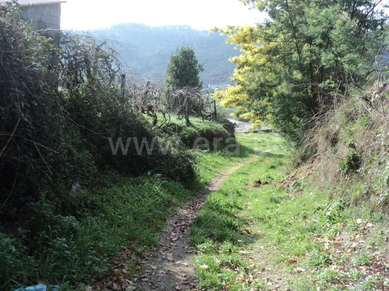 Terreno  Baião, Gove - 705154 - 5