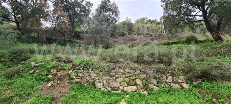Quinta  Baião, Santa Cruz do Douro e São Tomé de Covelas - 1366209 - 2