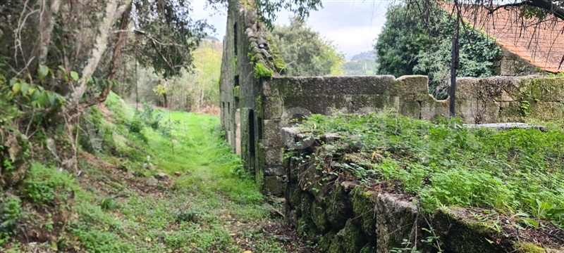 Quinta  Baião, Santa Cruz do Douro e São Tomé de Covelas - 1366209 - 7