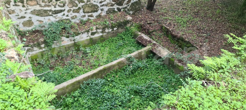 Quinta  Baião, Santa Cruz do Douro e São Tomé de Covelas - 1366209 - 10