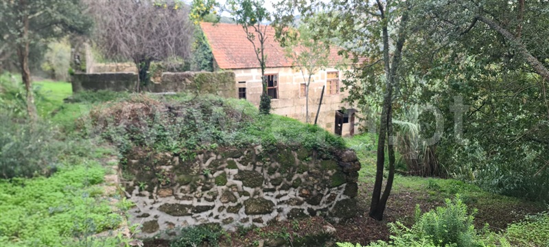 Quinta  Baião, Santa Cruz do Douro e São Tomé de Covelas - 1366209 - 11