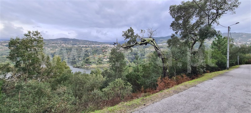 Quinta  Baião, Santa Cruz do Douro e São Tomé de Covelas - 1366209 - 16