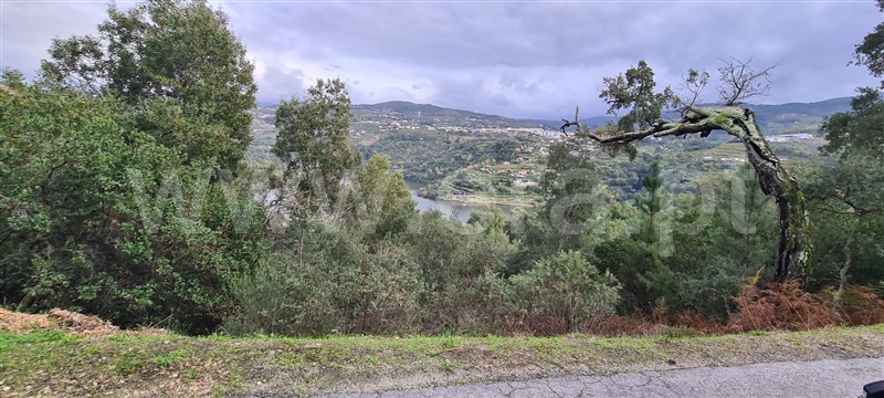 Quinta  Baião, Santa Cruz do Douro e São Tomé de Covelas - 1366209 - 17