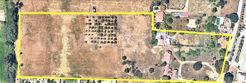 Quinta / Barreiro, Zona 8 - Penalva, Fonte Feto e Cabeço Verde