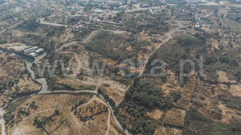 Quinta / Belmonte, Belmonte