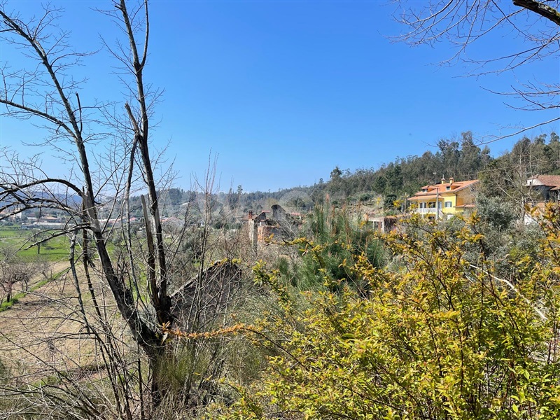 Quinta  Carregal do Sal, Beijós - 1472170 - 12