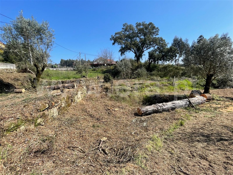 Quinta  Carregal do Sal, Beijós - 1472170 - 14