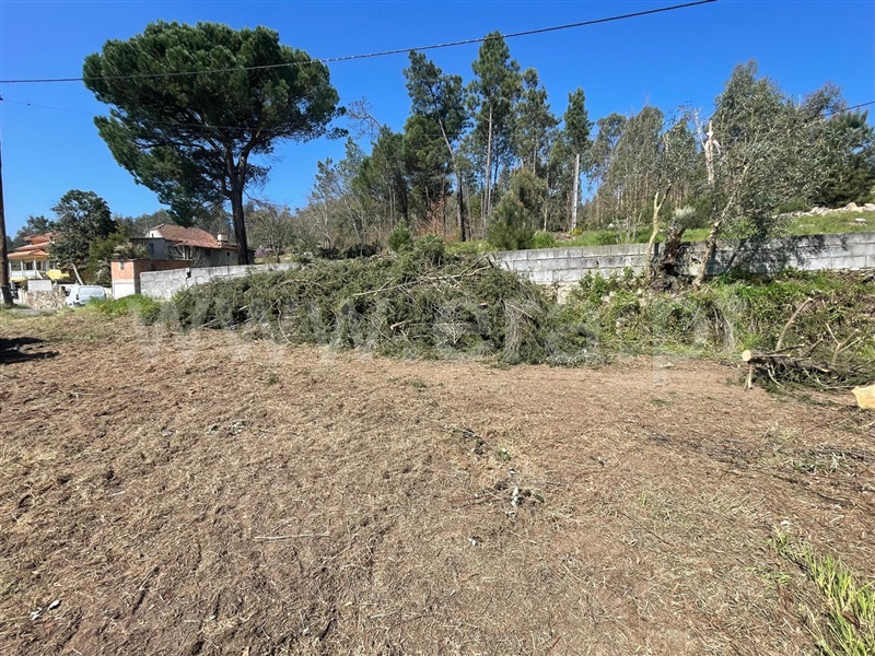 Quinta  Carregal do Sal, Beijós - 1472170 - 15